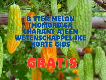 Bitter melon