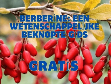 berberine