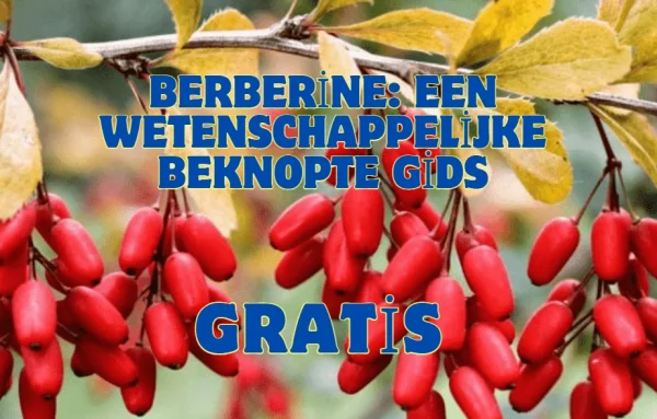 berberine